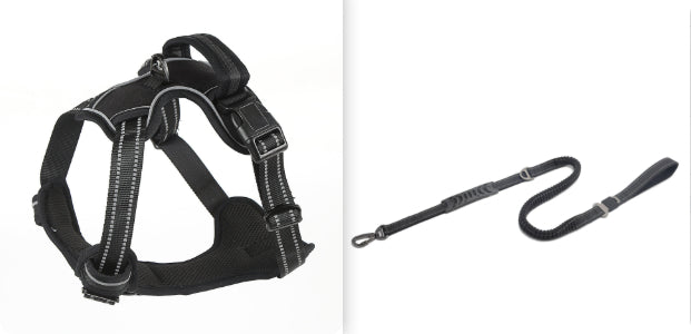 No-Pull Comfort Harness