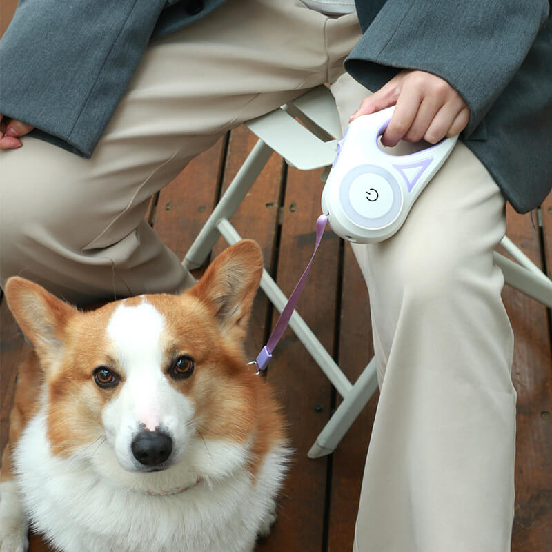 LED Retractable Dog Leash with Built-in Safety Light