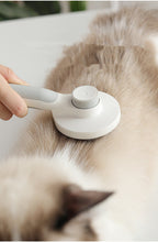 EasySweep Grooming Brush