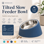 Tilted Slow Feeder Bowl
