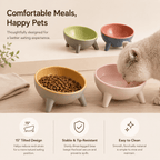 Nordic Tilt Pet Bowl