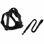 No-Pull Comfort Harness
